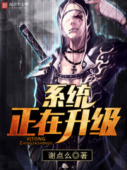 ϵͳ��������