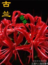 �����˰���