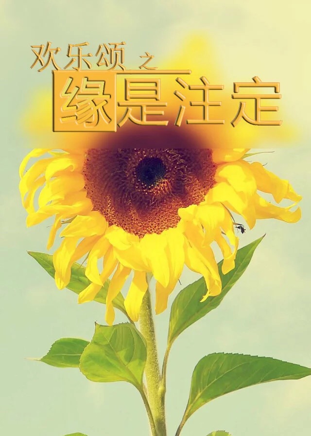 ������֮Ե��ע��