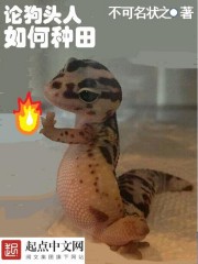 �۹�ͷ���������