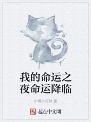 �ҵ�����֮ҹ���˽���