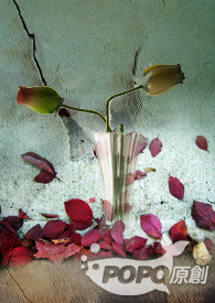 ʦ��������H��