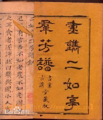 Ⱥ����(ȫ��)