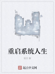 ����ϵͳ����