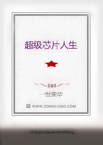 ����оƬ����