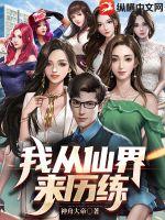 �Ҵ��ɽ�������